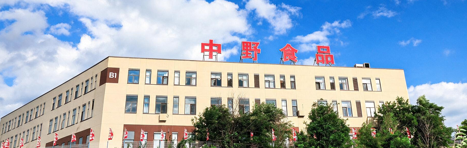 发展历程